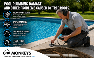 Pool Plumbing Damage and Other Problems Caused by Tree Roots